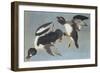 Golden-Eye Duck-John James Audubon-Framed Art Print