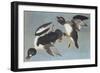 Golden-Eye Duck-John James Audubon-Framed Art Print