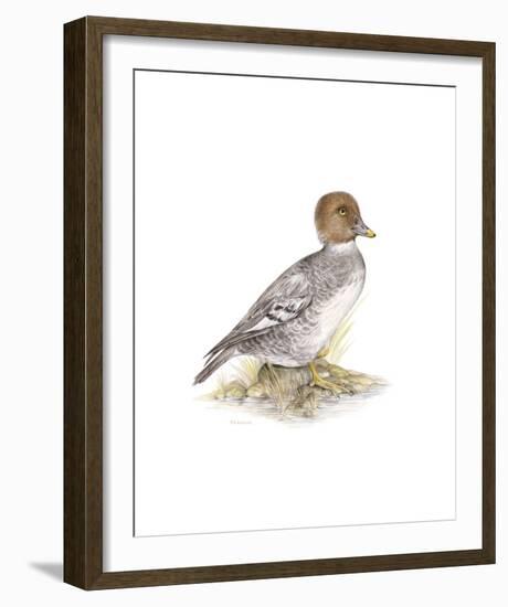 Golden Eye (Female)-C^T^N^ Ackland-Framed Premium Giclee Print