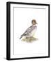 Golden Eye (Female)-C^T^N^ Ackland-Framed Premium Giclee Print