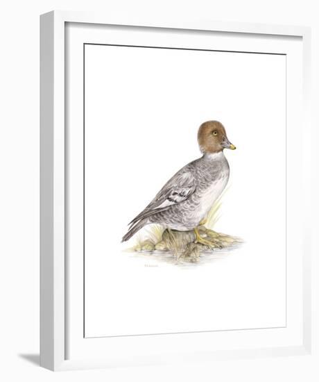 Golden Eye (Female)-C^T^N^ Ackland-Framed Premium Giclee Print