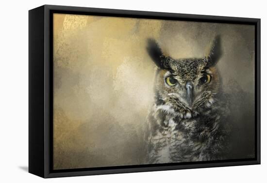 Golden Eyes Great Horned Owl-Jai Johnson-Framed Stretched Canvas