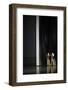 Golden Eyes-Erik Schottstaedt-Framed Photographic Print