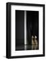 Golden Eyes-Erik Schottstaedt-Framed Photographic Print