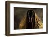 Golden Eyes-Heike Willers-Framed Photographic Print