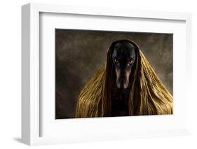 Golden Eyes-Heike Willers-Framed Photographic Print