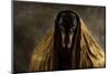 Golden Eyes-Heike Willers-Mounted Photographic Print