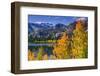 Golden Fall Aspen at June Lake, Inyo National Forest, Sierra Nevada Mountains, California, Usa-Russ Bishop-Framed Premium Photographic Print