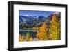 Golden Fall Aspen at June Lake, Inyo National Forest, Sierra Nevada Mountains, California, Usa-Russ Bishop-Framed Premium Photographic Print