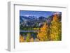 Golden Fall Aspen at June Lake, Inyo National Forest, Sierra Nevada Mountains, California, Usa-Russ Bishop-Framed Premium Photographic Print