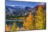 Golden Fall Aspen at June Lake, Inyo National Forest, Sierra Nevada Mountains, California, Usa-Russ Bishop-Mounted Premium Photographic Print