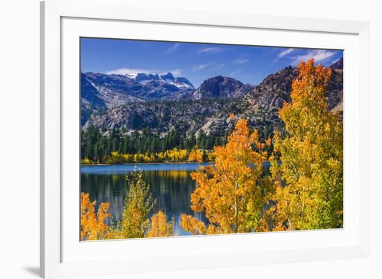 Golden Fall Aspen at June Lake, Inyo National Forest, Sierra Nevada Mountains, California, Usa-Russ Bishop-Framed Photographic Print