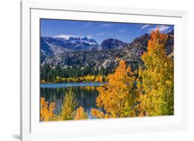 Golden Fall Aspen at June Lake, Inyo National Forest, Sierra Nevada Mountains, California, Usa-Russ Bishop-Framed Photographic Print