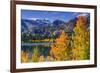 Golden Fall Aspen at June Lake, Inyo National Forest, Sierra Nevada Mountains, California, Usa-Russ Bishop-Framed Photographic Print