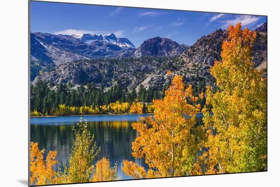 Golden Fall Aspen at June Lake, Inyo National Forest, Sierra Nevada Mountains, California, Usa-Russ Bishop-Mounted Photographic Print