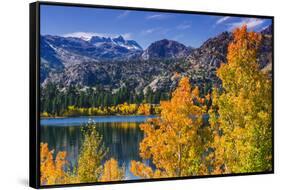Golden Fall Aspen at June Lake, Inyo National Forest, Sierra Nevada Mountains, California, Usa-Russ Bishop-Framed Stretched Canvas