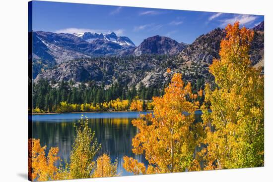 Golden Fall Aspen at June Lake, Inyo National Forest, Sierra Nevada Mountains, California, Usa-Russ Bishop-Stretched Canvas