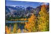 Golden Fall Aspen at June Lake, Inyo National Forest, Sierra Nevada Mountains, California, Usa-Russ Bishop-Stretched Canvas