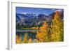 Golden Fall Aspen at June Lake, Inyo National Forest, Sierra Nevada Mountains, California, Usa-Russ Bishop-Framed Photographic Print