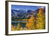 Golden Fall Aspen at June Lake, Inyo National Forest, Sierra Nevada Mountains, California, Usa-Russ Bishop-Framed Photographic Print