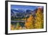 Golden Fall Aspen at June Lake, Inyo National Forest, Sierra Nevada Mountains, California, Usa-Russ Bishop-Framed Photographic Print