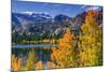 Golden Fall Aspen at June Lake, Inyo National Forest, Sierra Nevada Mountains, California, Usa-Russ Bishop-Mounted Photographic Print