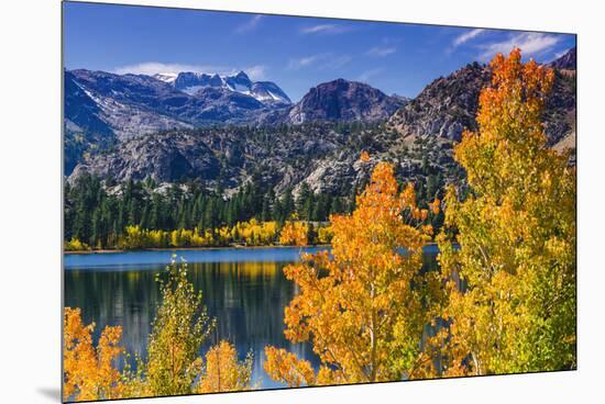 Golden Fall Aspen at June Lake, Inyo National Forest, Sierra Nevada Mountains, California, Usa-Russ Bishop-Mounted Premium Photographic Print