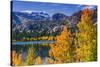 Golden Fall Aspen at June Lake, Inyo National Forest, Sierra Nevada Mountains, California, Usa-Russ Bishop-Stretched Canvas