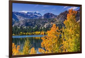 Golden Fall Aspen at June Lake, Inyo National Forest, Sierra Nevada Mountains, California, Usa-Russ Bishop-Framed Photographic Print