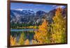 Golden Fall Aspen at June Lake, Inyo National Forest, Sierra Nevada Mountains, California, Usa-Russ Bishop-Framed Photographic Print