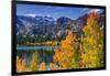 Golden Fall Aspen at June Lake, Inyo National Forest, Sierra Nevada Mountains, California, Usa-Russ Bishop-Framed Photographic Print