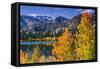 Golden Fall Aspen at June Lake, Inyo National Forest, Sierra Nevada Mountains, California, Usa-Russ Bishop-Framed Stretched Canvas