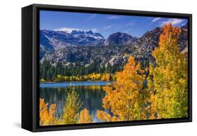 Golden Fall Aspen at June Lake, Inyo National Forest, Sierra Nevada Mountains, California, Usa-Russ Bishop-Framed Stretched Canvas