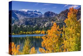 Golden Fall Aspen at June Lake, Inyo National Forest, Sierra Nevada Mountains, California, Usa-Russ Bishop-Stretched Canvas