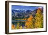 Golden Fall Aspen at June Lake, Inyo National Forest, Sierra Nevada Mountains, California, Usa-Russ Bishop-Framed Photographic Print