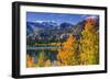 Golden Fall Aspen at June Lake, Inyo National Forest, Sierra Nevada Mountains, California, Usa-Russ Bishop-Framed Photographic Print