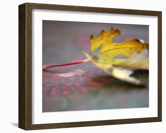 Golden Fall Reflections II-Nicole Katano-Framed Photo