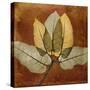 Golden Ficus Burkey-Albert Koetsier-Stretched Canvas
