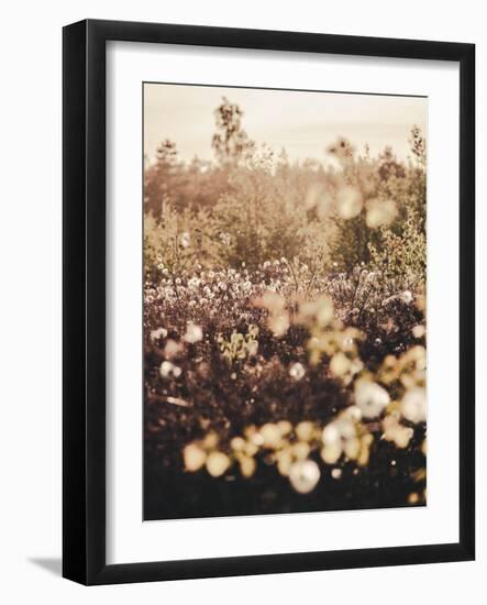 Golden Field-Design Fabrikken-Framed Photographic Print