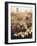 Golden Field-Design Fabrikken-Framed Photographic Print