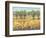 Golden Fields I-Tim O'toole-Framed Art Print