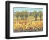 Golden Fields I-Tim O'toole-Framed Art Print