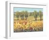 Golden Fields I-Tim O'toole-Framed Art Print