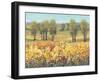 Golden Fields I-Tim O'toole-Framed Art Print