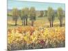 Golden Fields I-Tim O'toole-Mounted Art Print