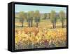 Golden Fields I-Tim O'toole-Framed Stretched Canvas