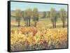 Golden Fields I-Tim O'toole-Framed Stretched Canvas