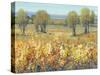 Golden Fields II-Tim O'toole-Stretched Canvas