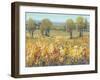 Golden Fields II-Tim O'toole-Framed Art Print