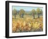 Golden Fields II-Tim O'toole-Framed Art Print